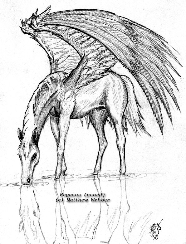 Pegasus